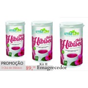 CHÁ DE HIBISCO INSTANTÂNEO 200g